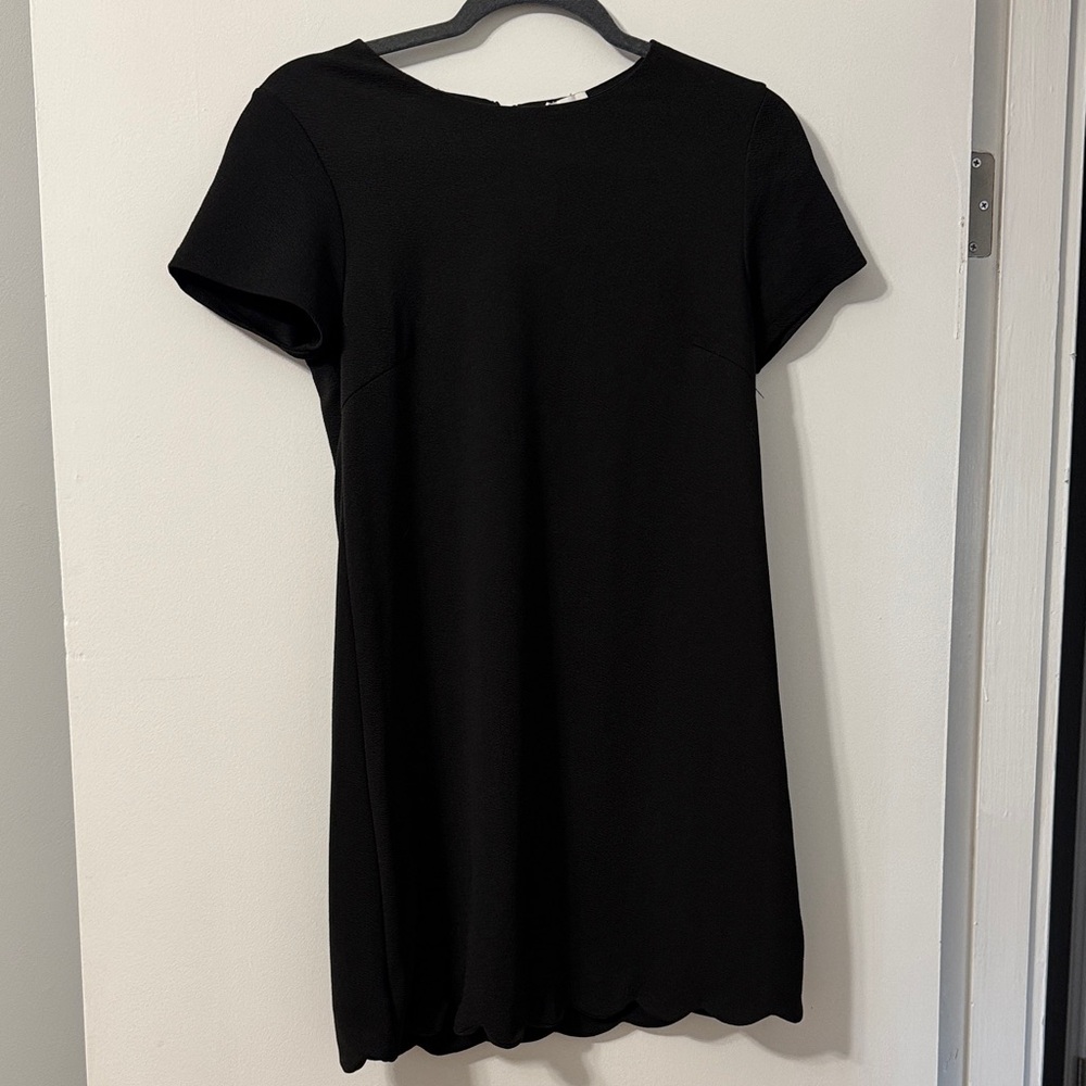Francesca's Collections Elegant Black Mini Dress